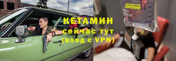 гидра Дмитров