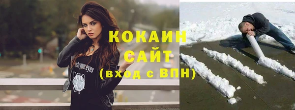 СК Дмитровск