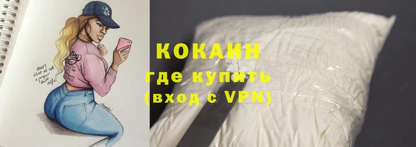 гидра Дмитров