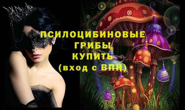 гидра Дмитров