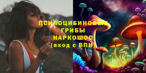 гидра Дмитров