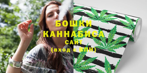 СК Дмитровск