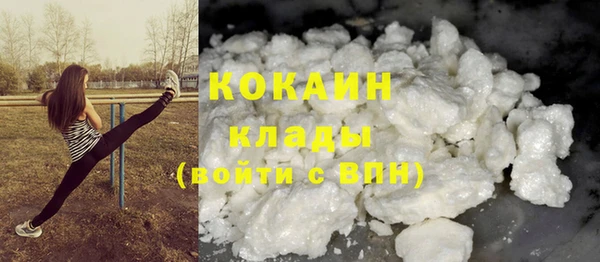 СК Дмитровск