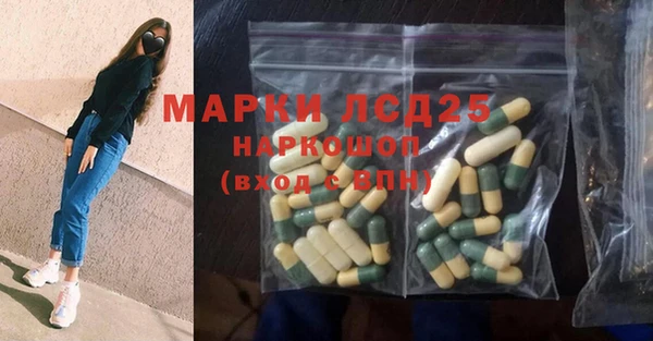 гидра Дмитров