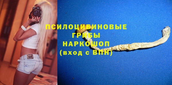 гидра Дмитров